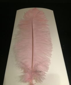 struisvogelveer roze
